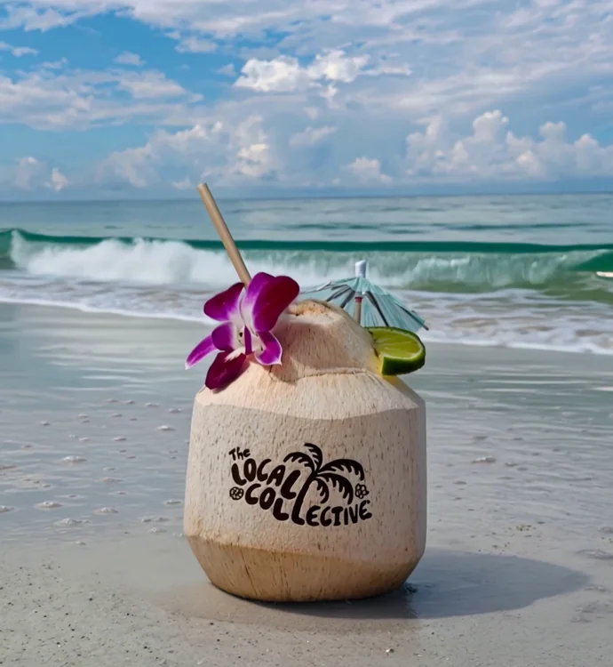 Example coconut product — Ocean